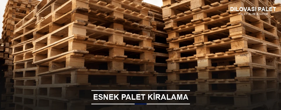Dilovası Uygun Fiyatlı Palet Kiralama